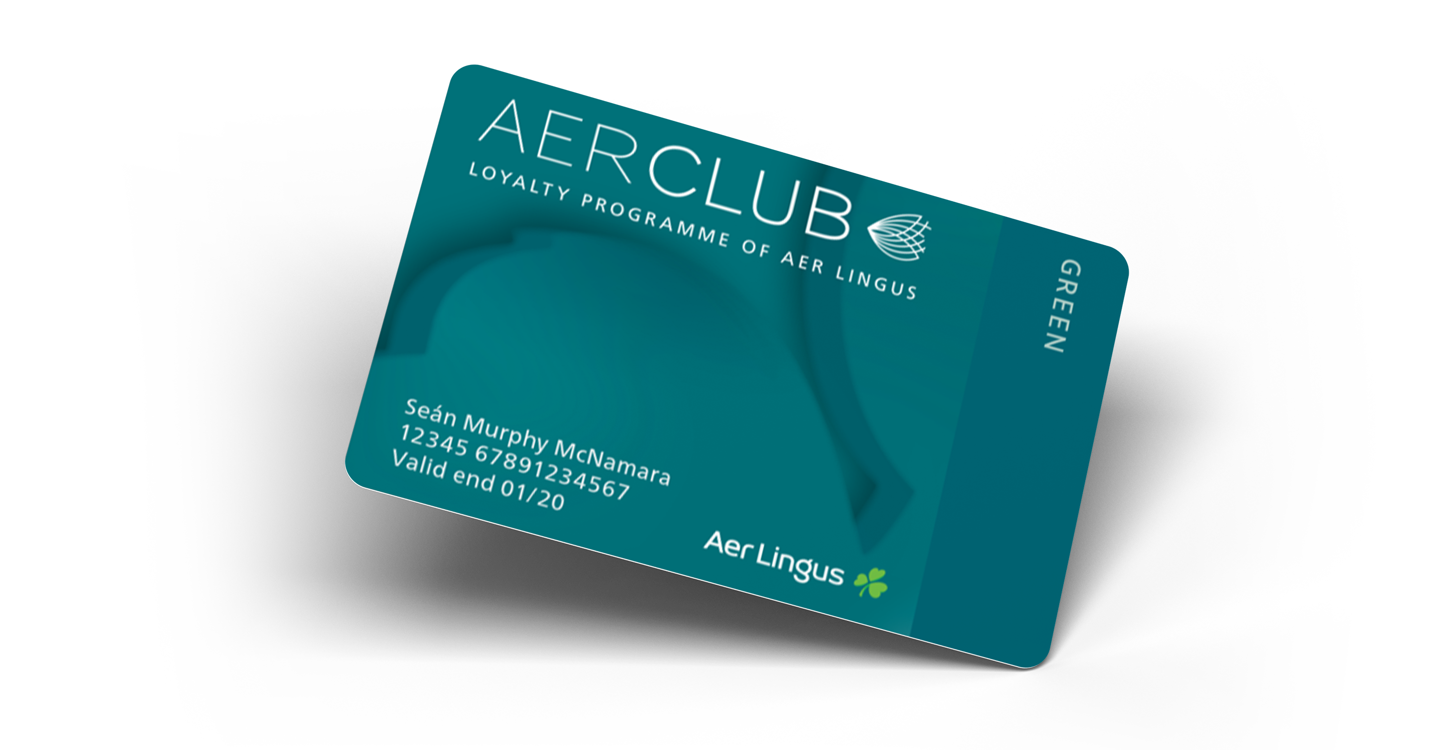 personal item aer lingus